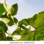 联众棋牌游戏大厅下载安装后注册登录与体验优化要点 c9r2cbyhmr