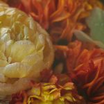 CBA篮球联赛辽宁队最新比赛直播视频全程回放 eze75g5