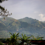 《天下足球》20周年庆典特别直播震撼开启 3kdt3xegh