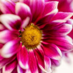 《天下足球》精彩赛事直播尽在直播吧 flrod