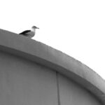 《卧底归来》天津卫视独家直播追剧指南 ulc735h